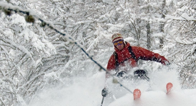 Fresh snow skiing